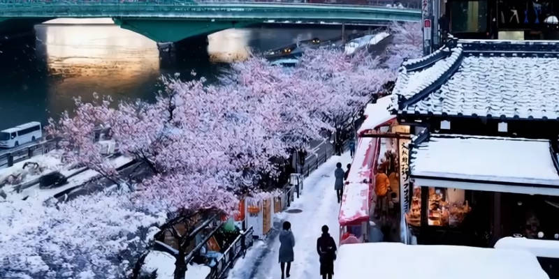 雪中东京
